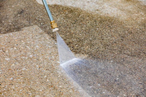 Boat and Dock Cleaning in Petersburg, MI